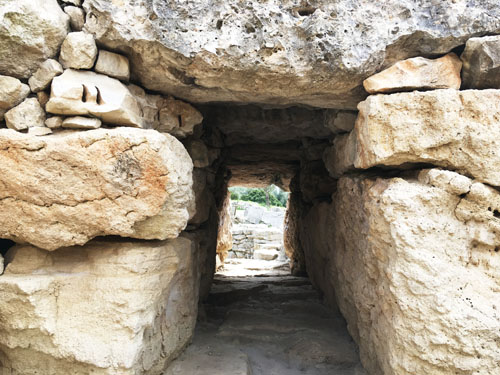 古代遺跡入り口